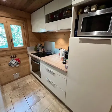 Le Chavan With Magnificent View 6-8 People Chalet *
